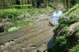 water still up