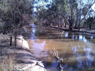 Downstream