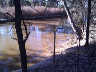 Site