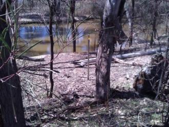 Site