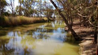 Upstream