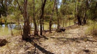 Site