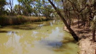 Upstream