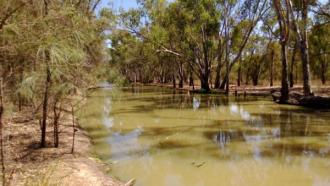 Downstream