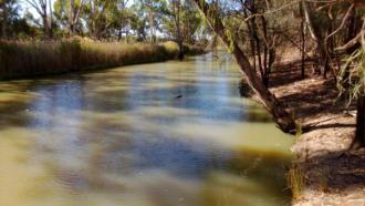 Upstream