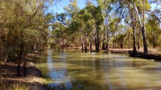Downstream
