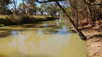 Up stream