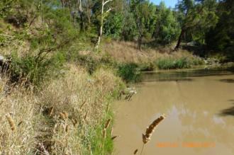 Pleasant morning. Water was a little more like coffee than just muddy - i.e. a milky brown.