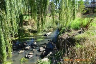 Water level up a bit, and although I said was clear, there is a little sediment in the water