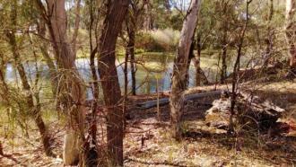 Site