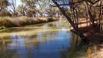 Upstream