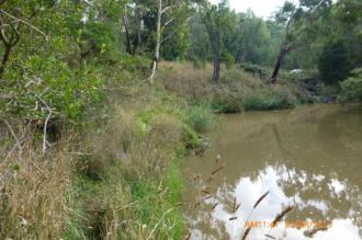 mild morning, water not as muddy looking as last time