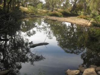 Big deep pool