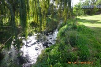 Sun breaking through, making it a very pleasant day to be down by the riverside. The grass had been cut for me too.
Ignore the time on the photo - fast by a full hour (maybe I haven't fixed it for daylight saving??)