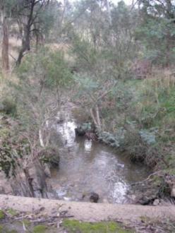 Looking downstream - stubbies were removed