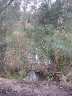 Looking upstream