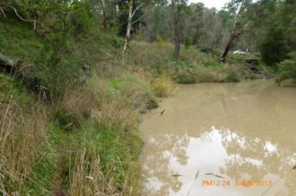 cool overcast day, water was a bit 