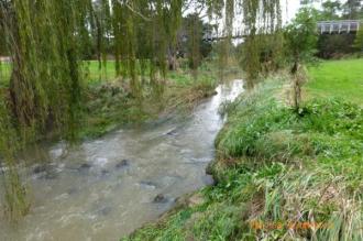 cool overcast day, creek has been VERY high, but down now.