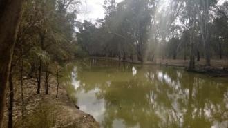 Downstream