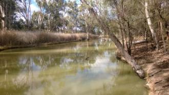 Upstream