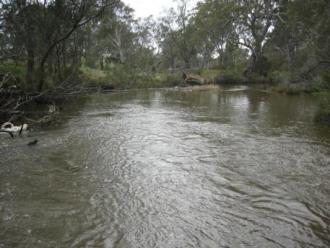 Looking downstream