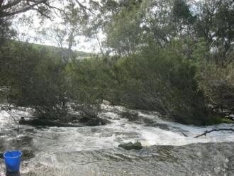 Looking downstream towards Bidstrups Bridge