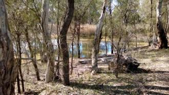 Site