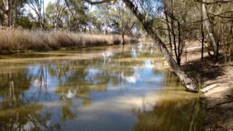 Upstream