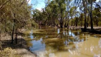 Downstream
