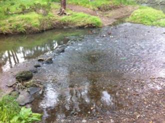 Across creek from Dog Ford monitoring site.