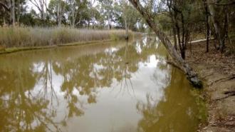Upstream