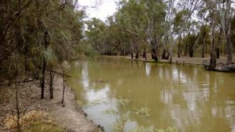 Downstream