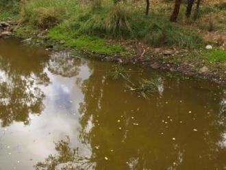 Sampling site
