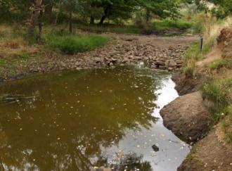 Downstream