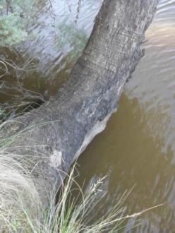 water level marker