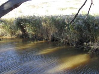 view across sampling site