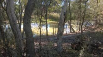 Site
