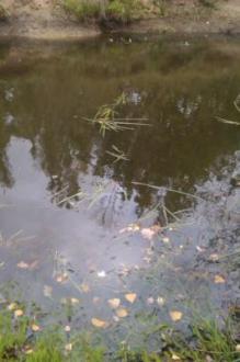 Sampling site