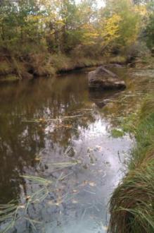 Upstream