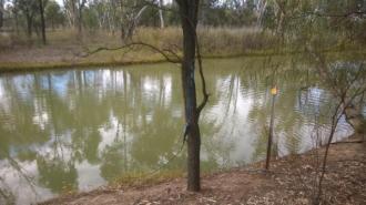 Site
