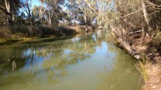 Upstream