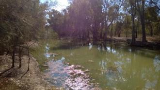 Downstream
