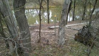 Site