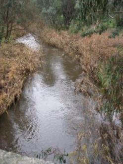 Hughes Creek at old bluestone bridge Avenel looking upstream 24-7-14