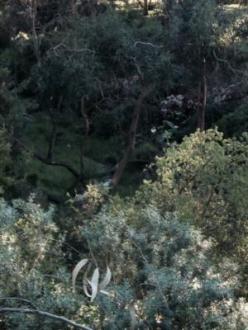 31/7/14_Upstream of the testing site showing good flow