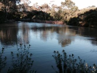 31/7/14_ Looking upstream from testing site across the dam
