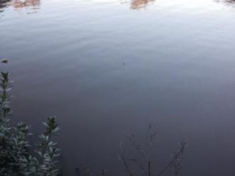 31/7/14_Closeup of the muddy conditions of the testing site.