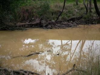 Sugarloaf Creek across stream