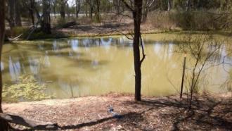 Site