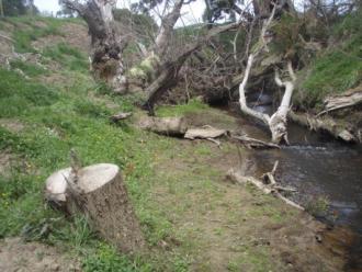 Upstream